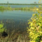 Profile Picture of Tackett (@tackettjonal) on Instagram