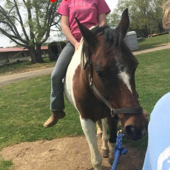 Profile Picture of Bailey Stevens (@babybailey11) on Poshmark