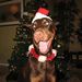 Profile Picture of Melanie Luten (@melanieluten) on Pinterest