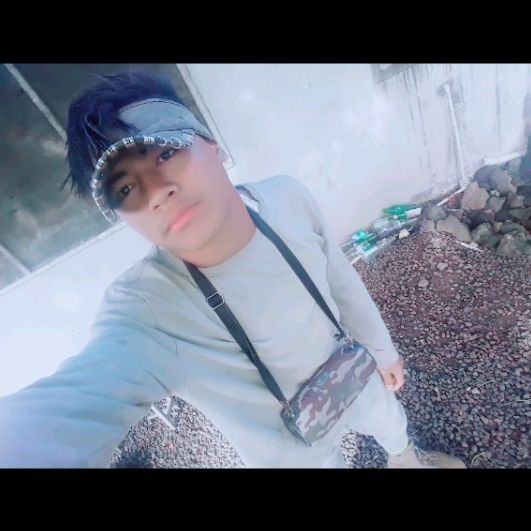 Profile Picture of Andrew Leli (@andrewleli) on Tiktok