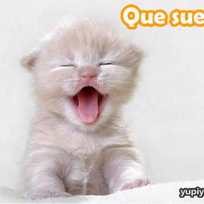 Profile Picture of Tina -Ch- (@TinaAndreaCh) on Twitter