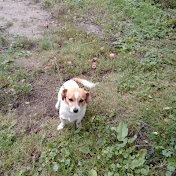 Profile Picture of Konis (@kristinebangiere4936) on Youtube