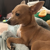 Profile Picture of James Tilford (@Jamestilfords) on Youtube