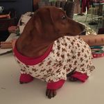 Profile Picture of Cindy Stearns (@cindythedoxmom) on Instagram