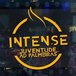 Profile Picture of INTENSE Juventude AD Palmeiras (@intense_oficial) on Instagram