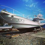 Profile Picture of 山口県遊漁船健洋丸 (@kenyoumaru) on Instagram