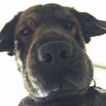 Profile Picture of PunLeur Reth (@___punleur___) on Instagram