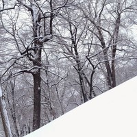 Profile Picture of Chabane Oumerzouk (@chabane-oumerzouk-1) on Quora