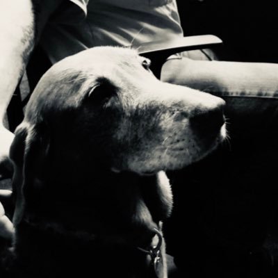 Profile Picture of Tony Arterburn (@TonyArterburn) on Twitter