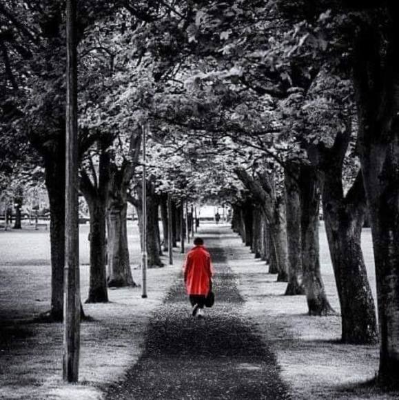 Corie Frank - Poshmark Profile Picture of Corie Frank (@corief) on Poshmark