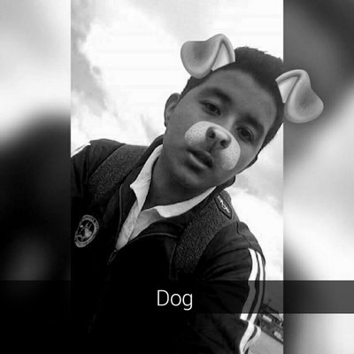 Joseph Navarrete - Twitter Profile Picture of Joseph Navarrete (@JosephNavarre14) on Twitter