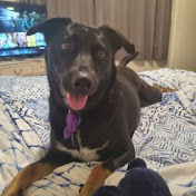 Profile Picture of Stacey Duff (@staceyduff9357) on Youtube