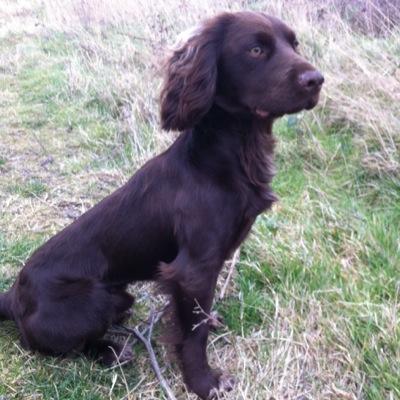 Profile Picture of Craig Bottomley (@fishoot1) on Twitter