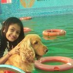 Profile Picture of chitra shah (@chitra4855) on Instagram