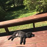 Profile Picture of Julia Shparber (@juliashparber) on Instagram