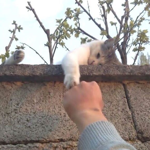 Profile Picture of Katerina Oleynik (@katerinaoleynik) on Poshmark