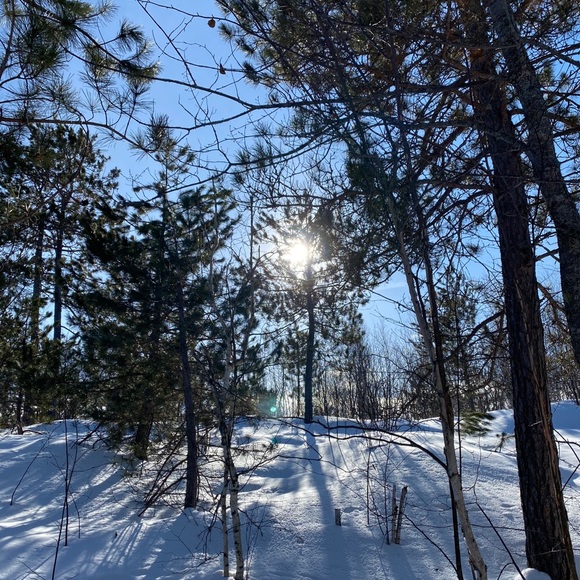 Profile Picture of Britt Gouthro (@brittgou) on Poshmark