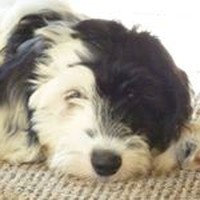 Profile Picture of Phil Vickers (@phil-vickers-2) on Quora