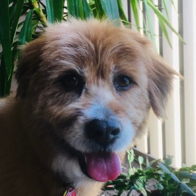 Profile Picture of John Walsh (@JohnWal35555323) on Twitter