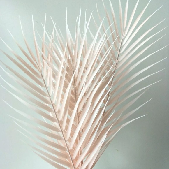 Profile Picture of Jennalea Geary (@jennaleageary) on Poshmark