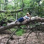 Profile Picture of Dawn Collins-Remo (@collinsremo) on Instagram