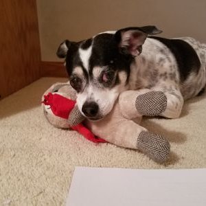 Profile Picture of James Kilbride (@mngamer7_) on Twitter