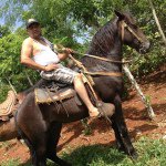 Profile Picture of Guillermo Capellan (@guille_capellan) on Instagram