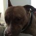 Profile Picture of Andrew Kemmerer (@Andrew-Kemmerer) on Facebook