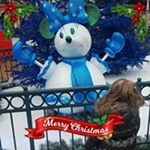 Profile Picture of cindy cascione (@cascionecindy) on Instagram