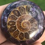 Profile Picture of Brandon Matchick (@myco_matchick) on Instagram