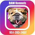 Profile Picture of Rene Alvarez (@rawkennels) on Instagram