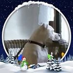 Profile Picture of Cathy Slabaugh (@cathyslabaugh) on Instagram