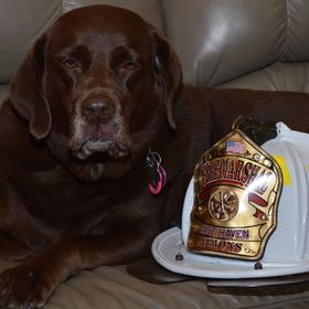 Profile Picture of Mark Nimons (@ehfdcar3) on Pinterest