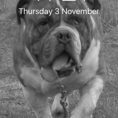 Profile Picture of Tracy Upton (@tracy_upton) on Twitter