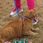 Profile Picture of Garfield James Foelske (@garfield115) on Instagram