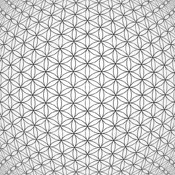 Leslie Dossey - Poshmark Profile Picture of Leslie Dossey (@lez87) on Poshmark