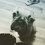 Profile Picture of david buls (@bulsd) on Instagram