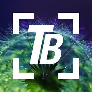 Profile Picture of Benjámin Tóth (@_benjamintoth) on Instagram