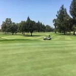 Profile Picture of Tyler Schulz (@t_c_schulz) on Instagram