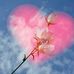Profile Picture of DMoataz Mohamed (@D-Moataz-Mohamed) on Facebook