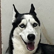 Profile Picture of Daniel Avelar (@danielavelar8265) on Youtube