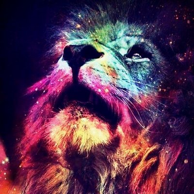 Profile Picture of Adalid Rios (@adalid_alvarez) on Twitter
