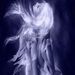 Profile Picture of Bobbi Shorter (@sweetazcanbee) on Pinterest