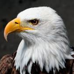 Profile Picture of Yolanda Fabian (@yolandafabian27) on Twitter