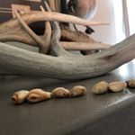 Profile Picture of Iann Denney (@justwant2hunt) on Instagram