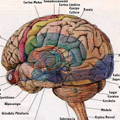 Profile Picture of Edd Michael Alcantar (@eddmichaelalcantar6592) on Youtube