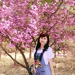 Dang Anh Thy - Flickr Profile Picture of Dang Anh Thy (@thidta533) on Flickr