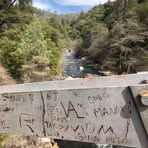 Profile Picture of Mark Greenwald (@mark.greenwald.543) on Facebook