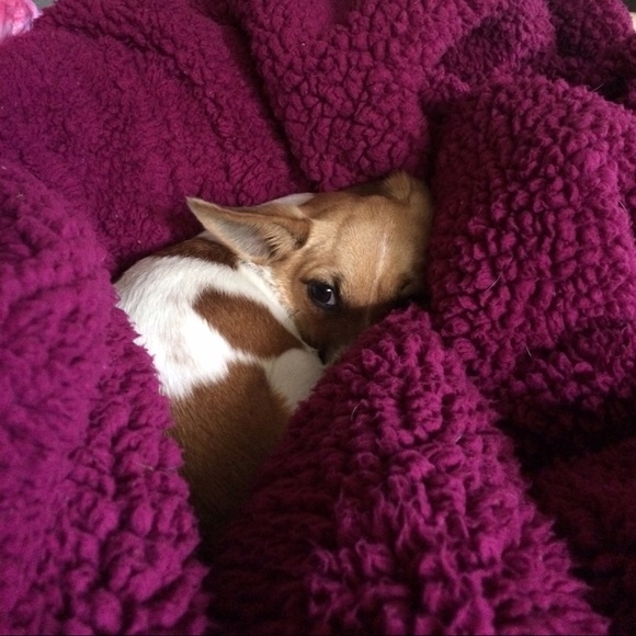 Profile Picture of Megan Reukauf (@meganreuk) on Poshmark