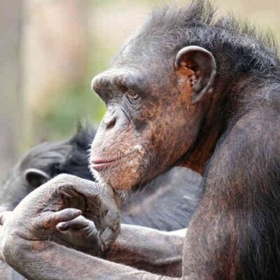 Profile Picture of James Andrus (@jamesdandrus) on Twitter